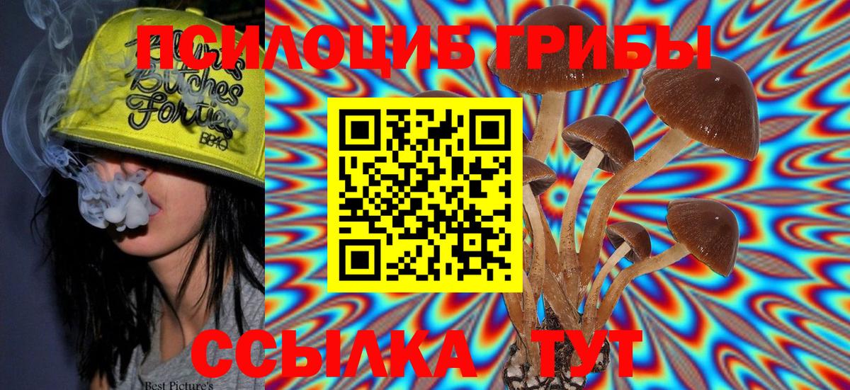Псилоцибиновые грибы Psilocybe Усолье-Сибирское