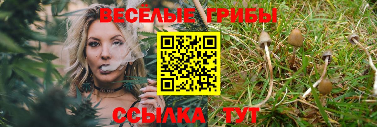 Псилоцибиновые грибы Psilocybe  Вход с VPN  Усолье-Сибирское 